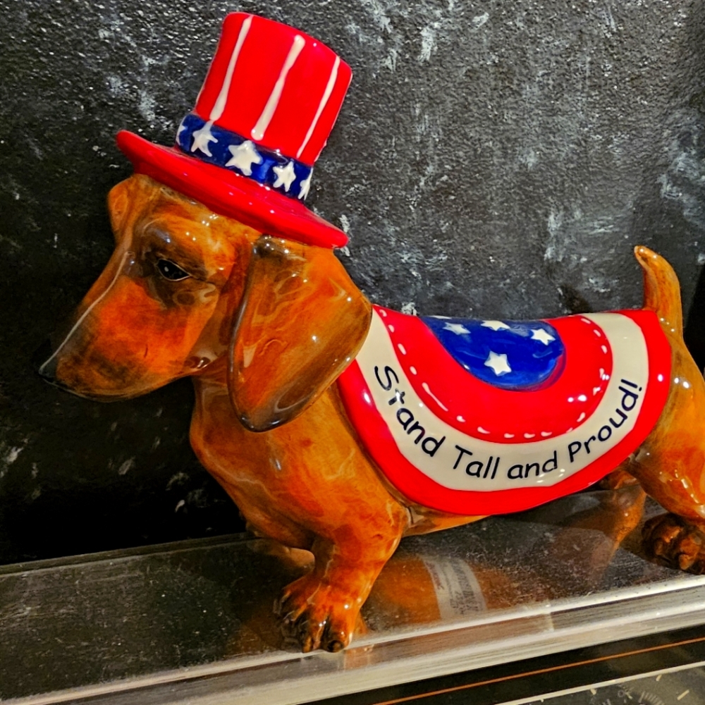 American dachshund